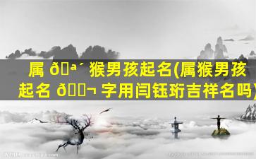 属 🪴 猴男孩起名(属猴男孩起名 🐬 字用闫钰珩吉祥名吗)